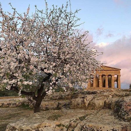 Alfa Quadro Bed & Breakfast Agrigento Exterior photo