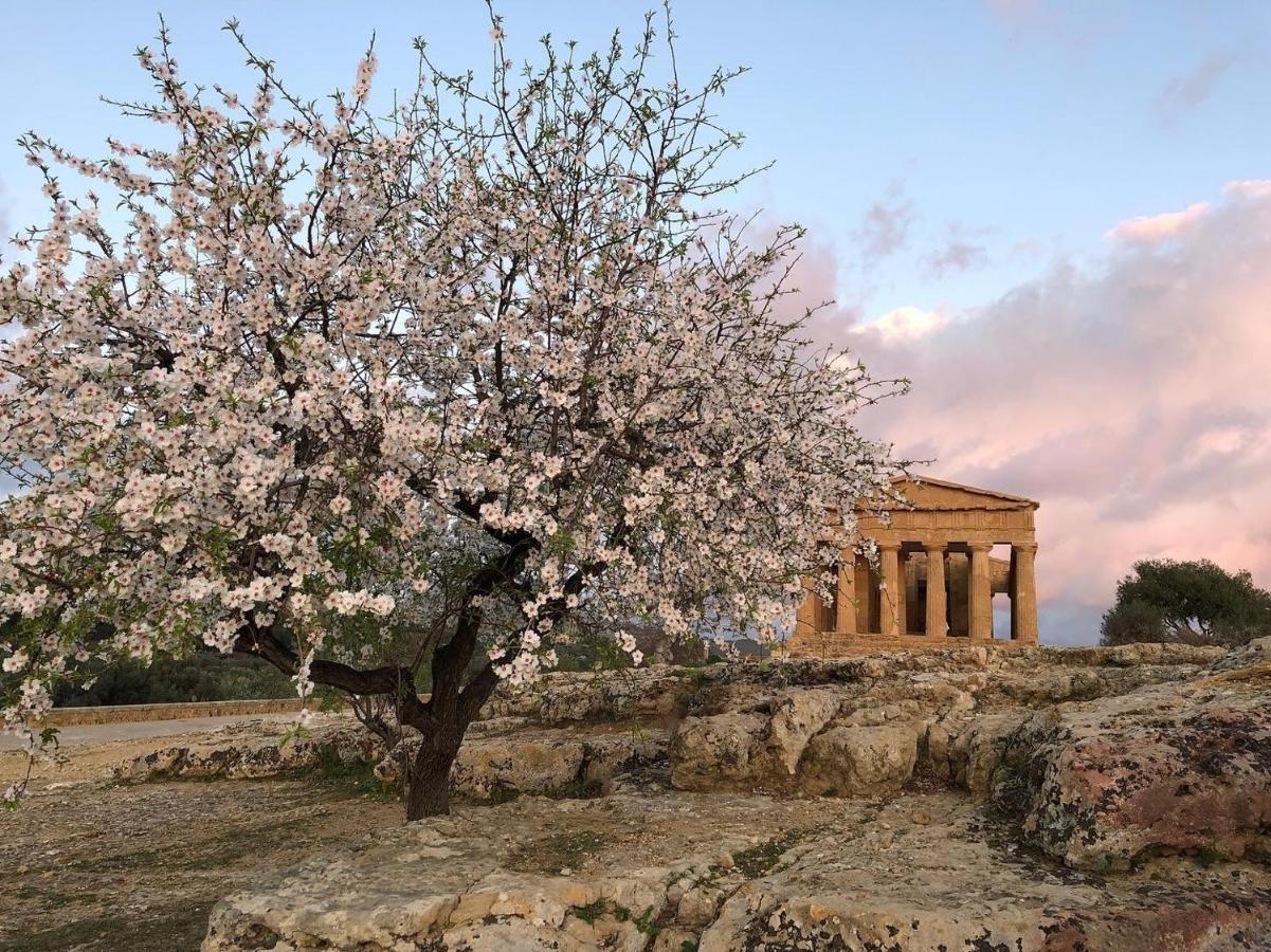 Alfa Quadro Bed & Breakfast Agrigento Exterior photo